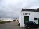 0tag8_2_salinas2.JPG
